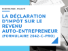 Déclaration-dimpôt-auto-entrepreneur