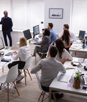 stage dans une start-up
