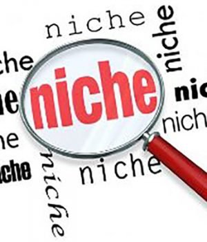 niche-business