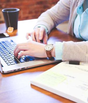 2025_11_43 Stratégie gagnante _ vendre des packs de soins pour fidéliser les propriétaires d’animaux