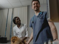 Pourquoi proposer des packs de soins pour animaux à vos clients ?