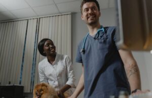 Pourquoi proposer des packs de soins pour animaux à vos clients ?